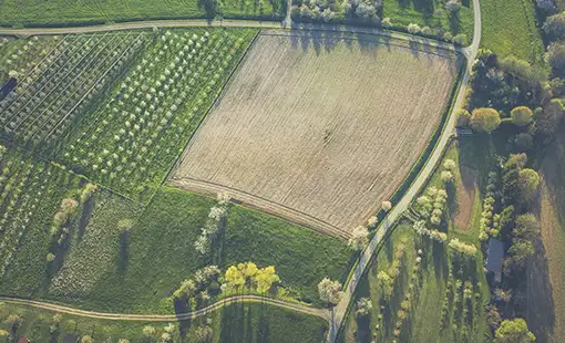 Abhinandan Lodha Shimla Images