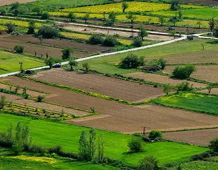 House Of Abhinandan Lodha Shimla Banner 2 Mobile